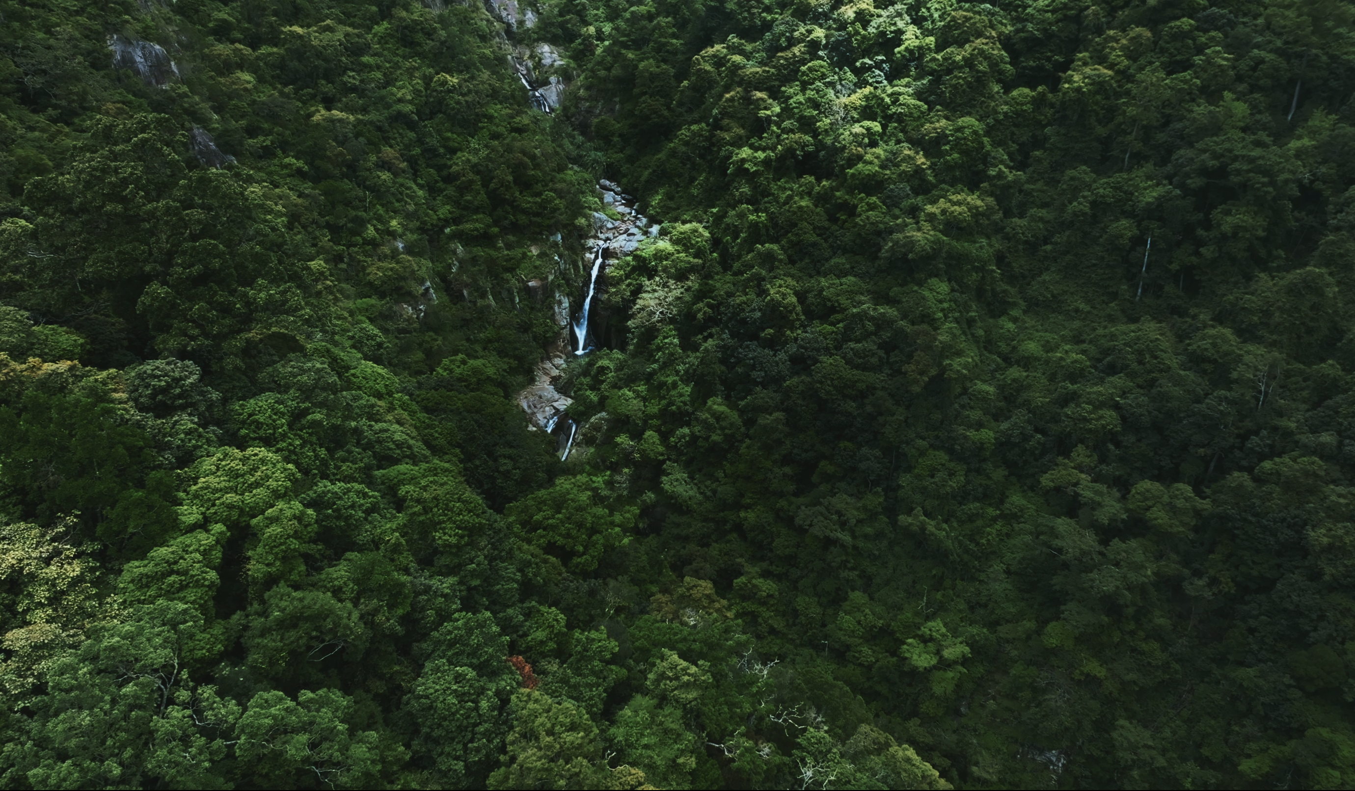 Sri Lanka waterfall